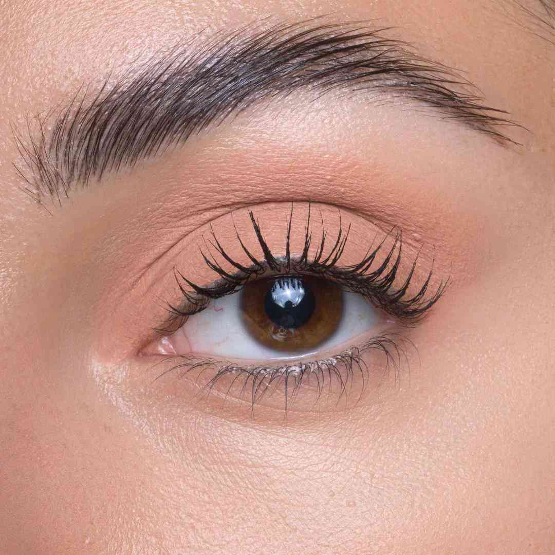Diego dalla Palma Base & Eyeshadow