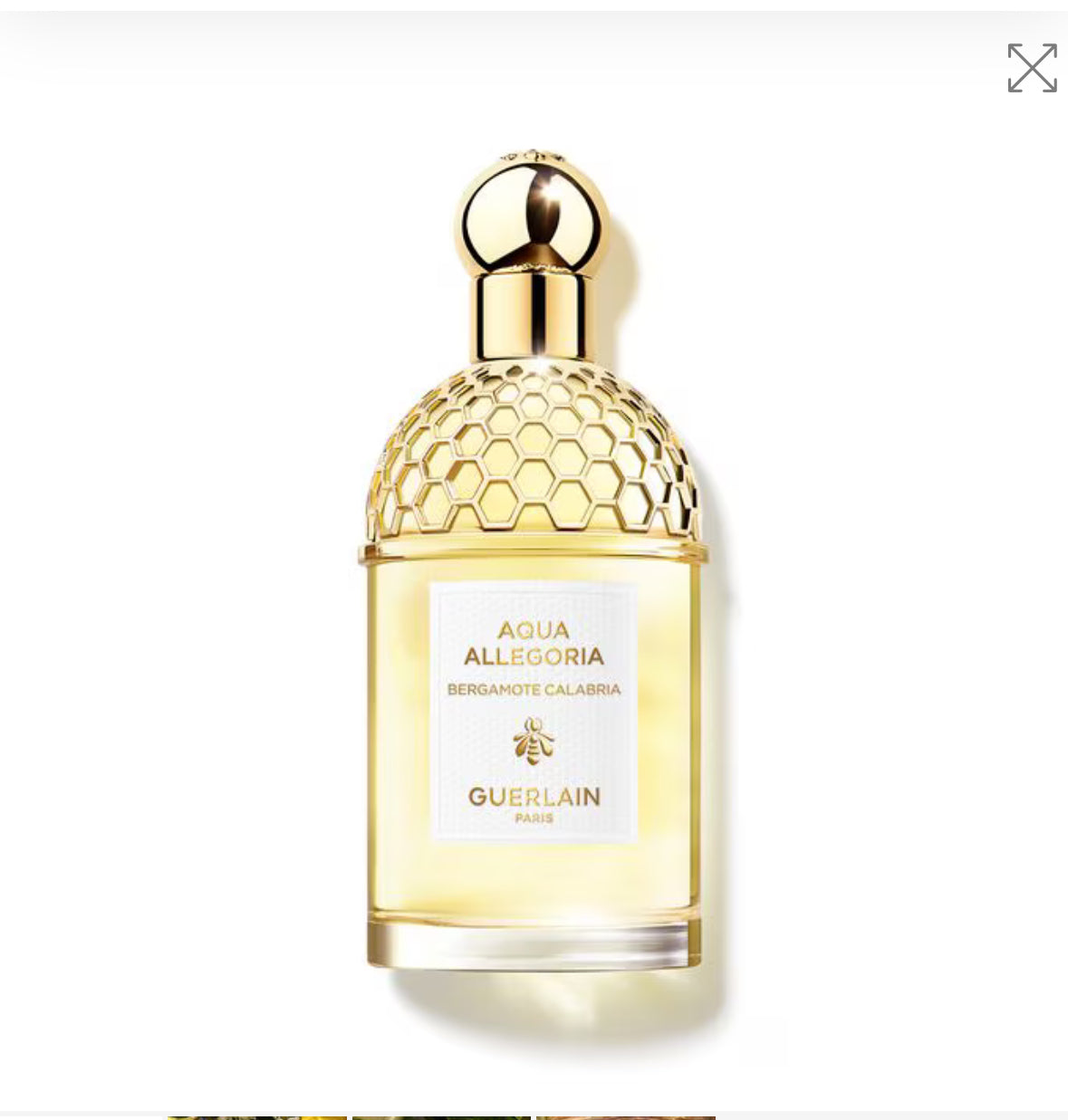 AQUA ALLEGORIA
BERGAMOTE CALABRIA - EAU DE TOILETTE
Un'ode al Bergamotto 125 ml (scatolo tester)